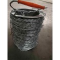 Barbed Wire Electro Galvanized Barbed Wire Supplier