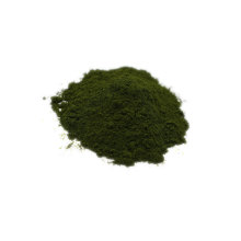 comprar polvo de chlorella de pared celular rota de la mejor calidad