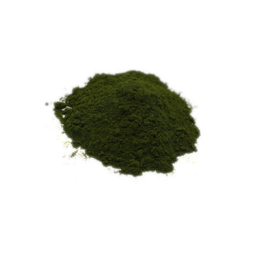 comprar la mejor calidad de la pared de la celda rota chlorella polvo