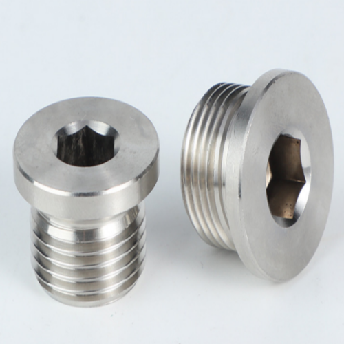 Hex Socket cylinder Pipe Plugs Screw