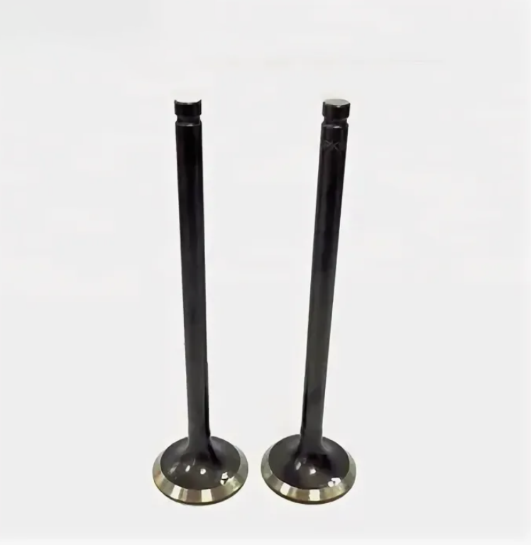 Exhaust Valve 22212-42200 for Engine