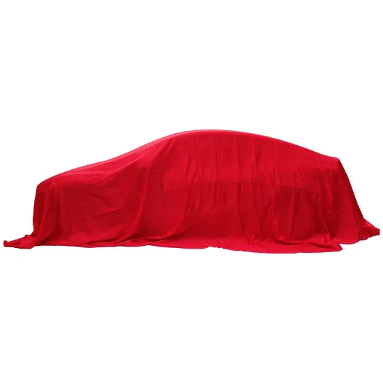 Custom Pongee Sports Style Fabric Cover for Abarth Car CC Model - OEM Size Protection and Exhibition