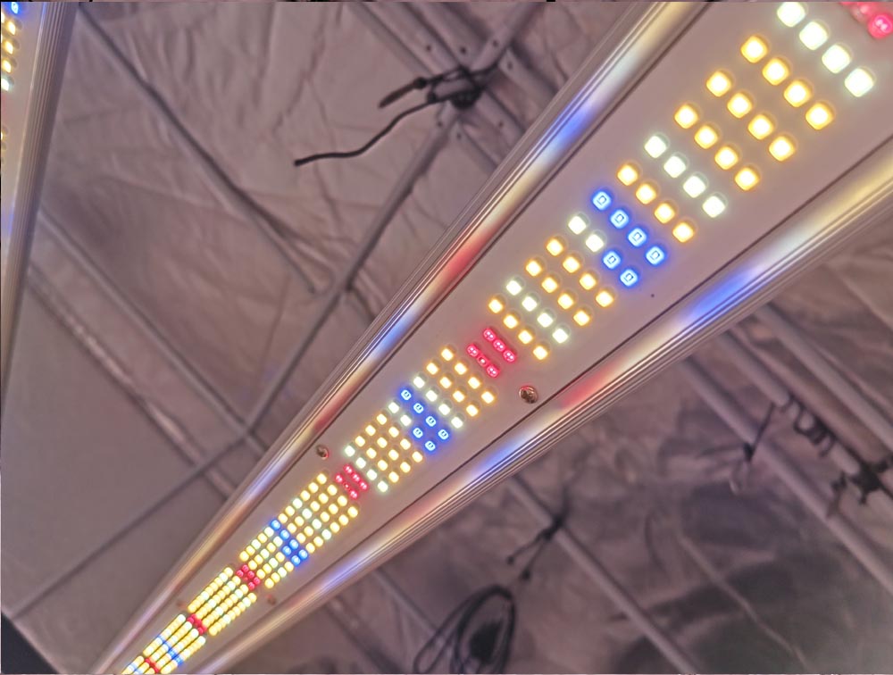 Maksdep 1000 watt LED grow light Maksdep 1000 watt LED grow light