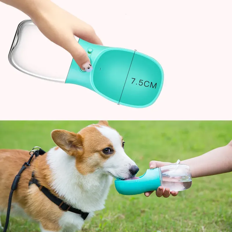 Rena Pet Travel Water Bottle with Feeder