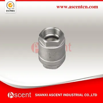 Stainless Steel Spring Loaded Check Valve