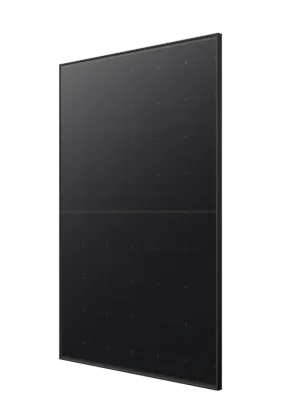 Best Price Government Solar Panel Program: 385W to 405W Risen Energy Solar Panels