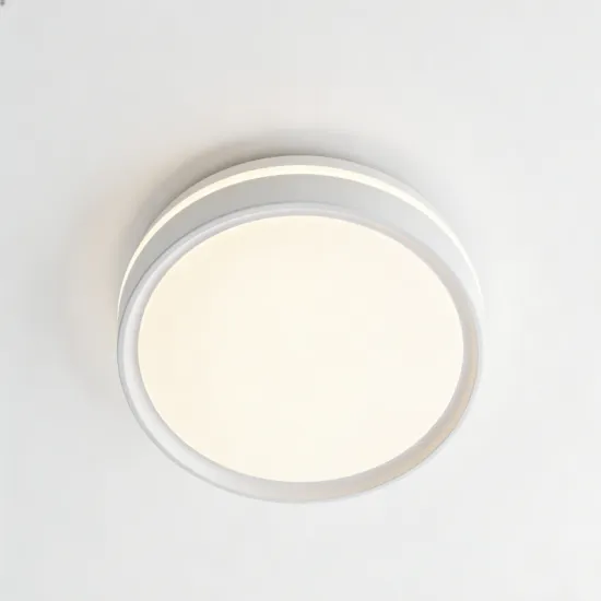 Bright flush LED ceiling lamp