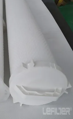 Pentair Aqualine large flow water filter ALPF-60006