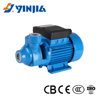 0.5 HP Peripheral Pump