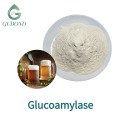 Polvo de enzima glucoamilasa para fermentación de jarabe de glucosa