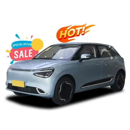 2024 Dongfeng Nammi 01 Electric Hatchback