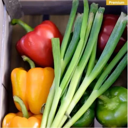 S/S Kitchen Cabinet Drawer Block with 1 Drawer Premium - Substructure Module