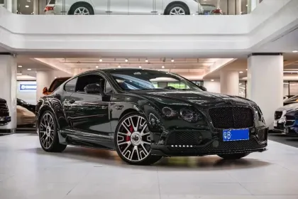 Bentley Continental Carbon Fiber Body Kit: MSY-Style Front, Rear Bumper, Spoiler, and Hoods