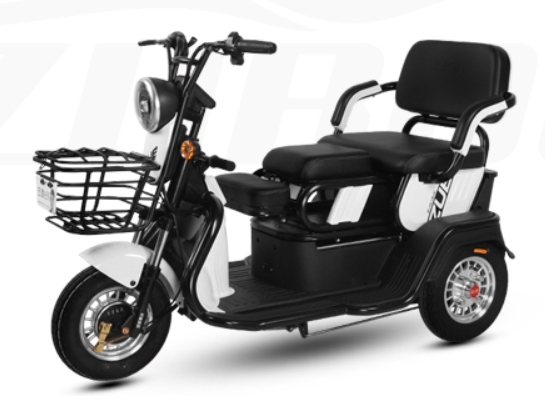 S1(Leisure Electric Tricycle)