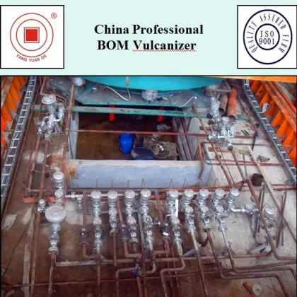 China Professional BOM Vulcanizer
