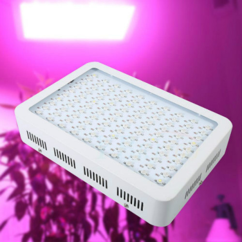 Kuasa Berkualiti Tinggi LED Grow Lights Masa yang tinggi