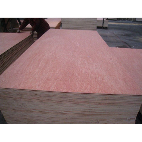 Bintangar commercial veneer plywood wholesale