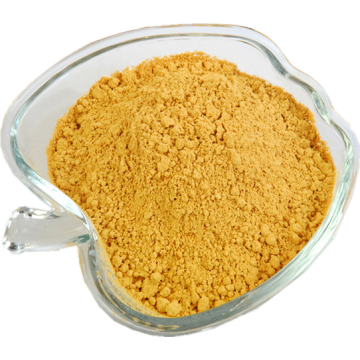 UV20%-95% Milk Thistle Extract Powder Silymarin/Silybin