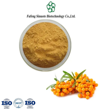 Premium Seabuckthorn Powder for Immune Support and Vitality