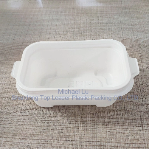 High Temperature Resistance Container