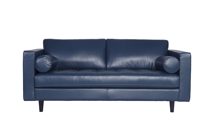 Blue-leather-Sofa