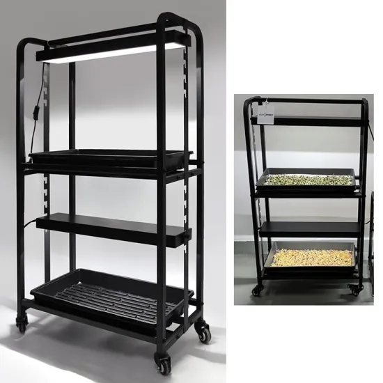 Two Tray Wheatgrass Microgreens Growing System with Built-In Wide Spectrum Grow Lights