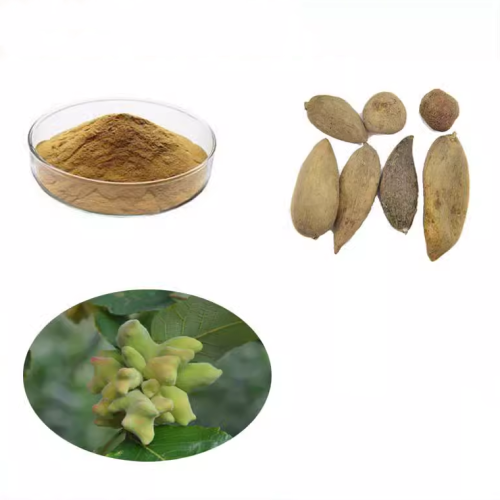 Natural Gallnut Extract Powder