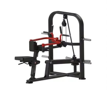 Pec Deck Rear Combo gym