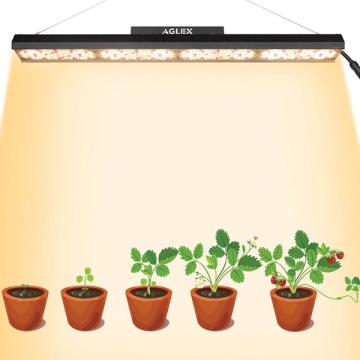 Bricole linéaire à LED pour les plantes
