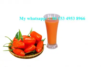 Wild Organic tibetan goji berries