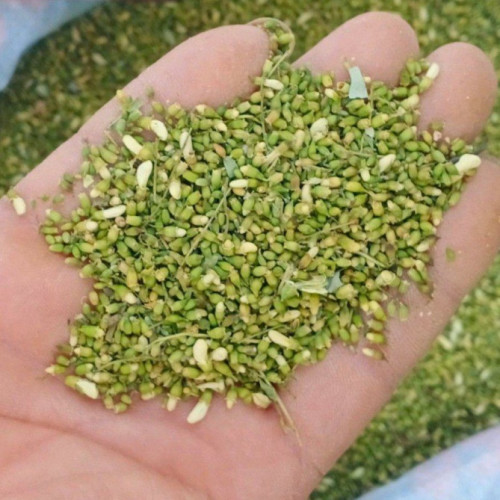 sophora flower bud extract sale
