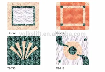 German Technology Professional Home Villa Lift/Elevator