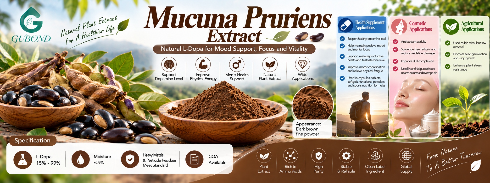 Mucuna Pruriens Extract