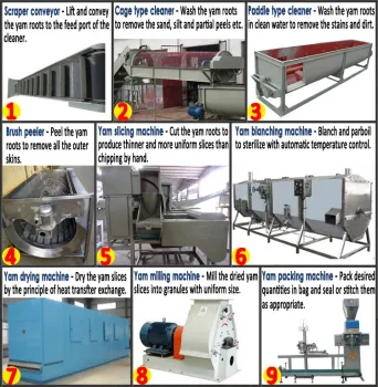 Cassava flour processing machine