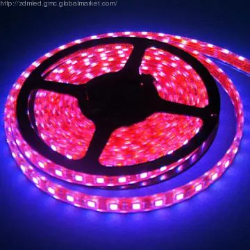 240led/m 24 volt LED strip