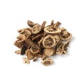 Citrus Aurantium Seed Extract