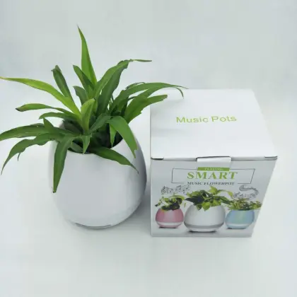 Flower pot of bluetooth speaker