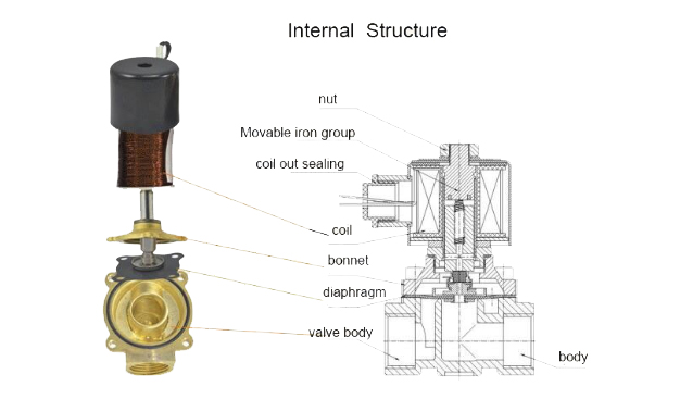 Internal Structure of 2W025-08 solenoid valves
