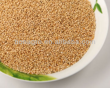 white millet bird or fish food machine clean quality China origin