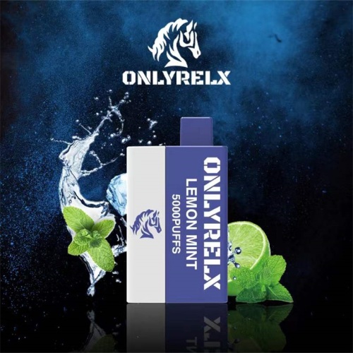 China Popular max bar 5000puffs Bulk E Liquid ONLYRELX Manufactory