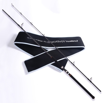 OEM H MH 2.88m Japan Quality Spinning Fishing Rod with Fuji Parts for Popping and Jigging (40-120g)