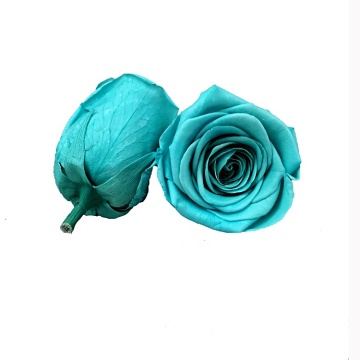 Long-Lasting Preserved Roses for Valentine's Day Gift Boxes