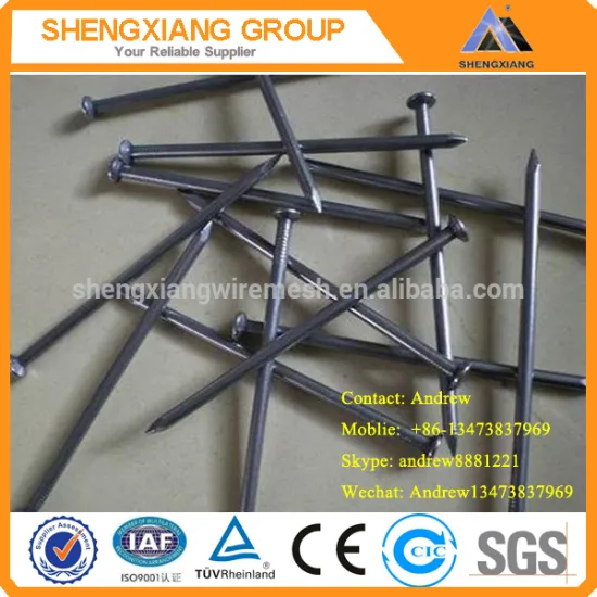 Sharp Point Polished Common Nails 1/2inch---6inch (Factory)