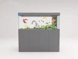 Luxury Dragonfish Aquarium with Modern Design