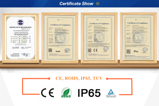 CE ROHS IP65 CERTIFICATE