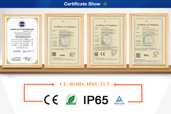 Ce Rohs Ip65 Certificate