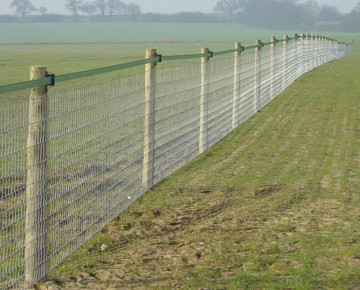 Galvanized livestock fencing cattle farm fence roll