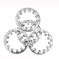 Stainless Steel Internal Teeth Lock Washers DIN6797