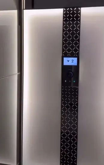Traction 2/3 Floor Vertical Platform Villa Lift Home Sightseeing Elevator