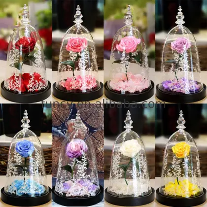Best Valentine's Day Gift: Preserved Flower Beauty and the Beast Enchanted Rose